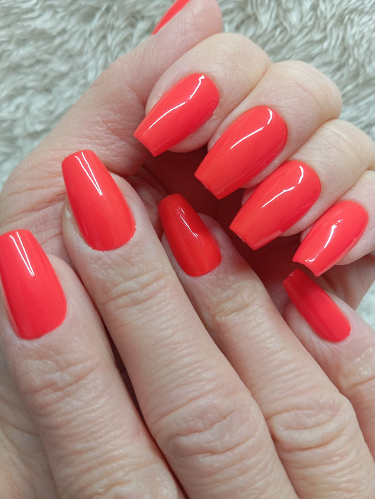 Corail Éclatant