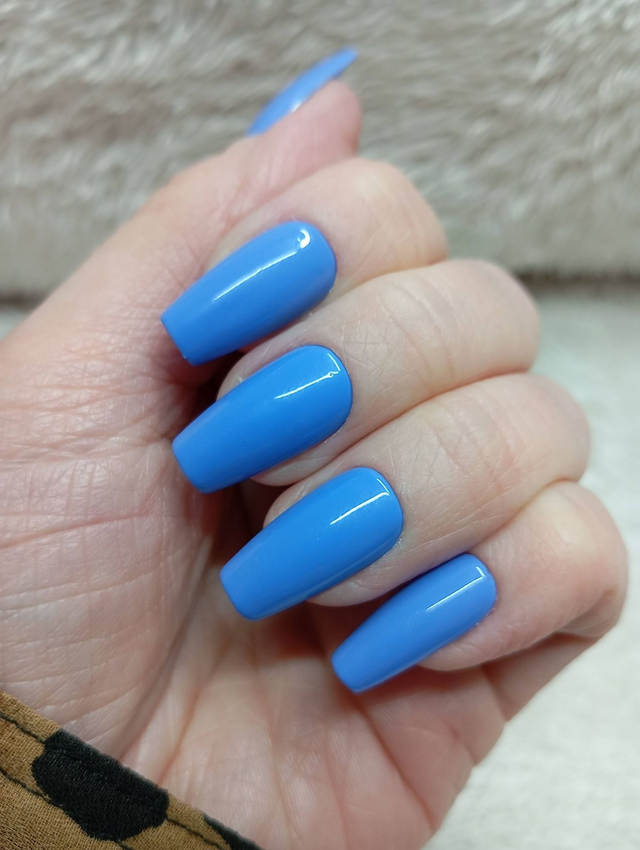Bleu Cobalt