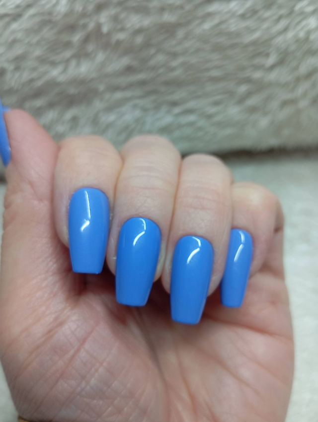 Bleu Cobalt
